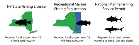 fishing license new york online|free saltwater fishing license ny.